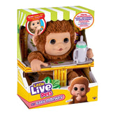 Little Live Pets Yavru Maymun
